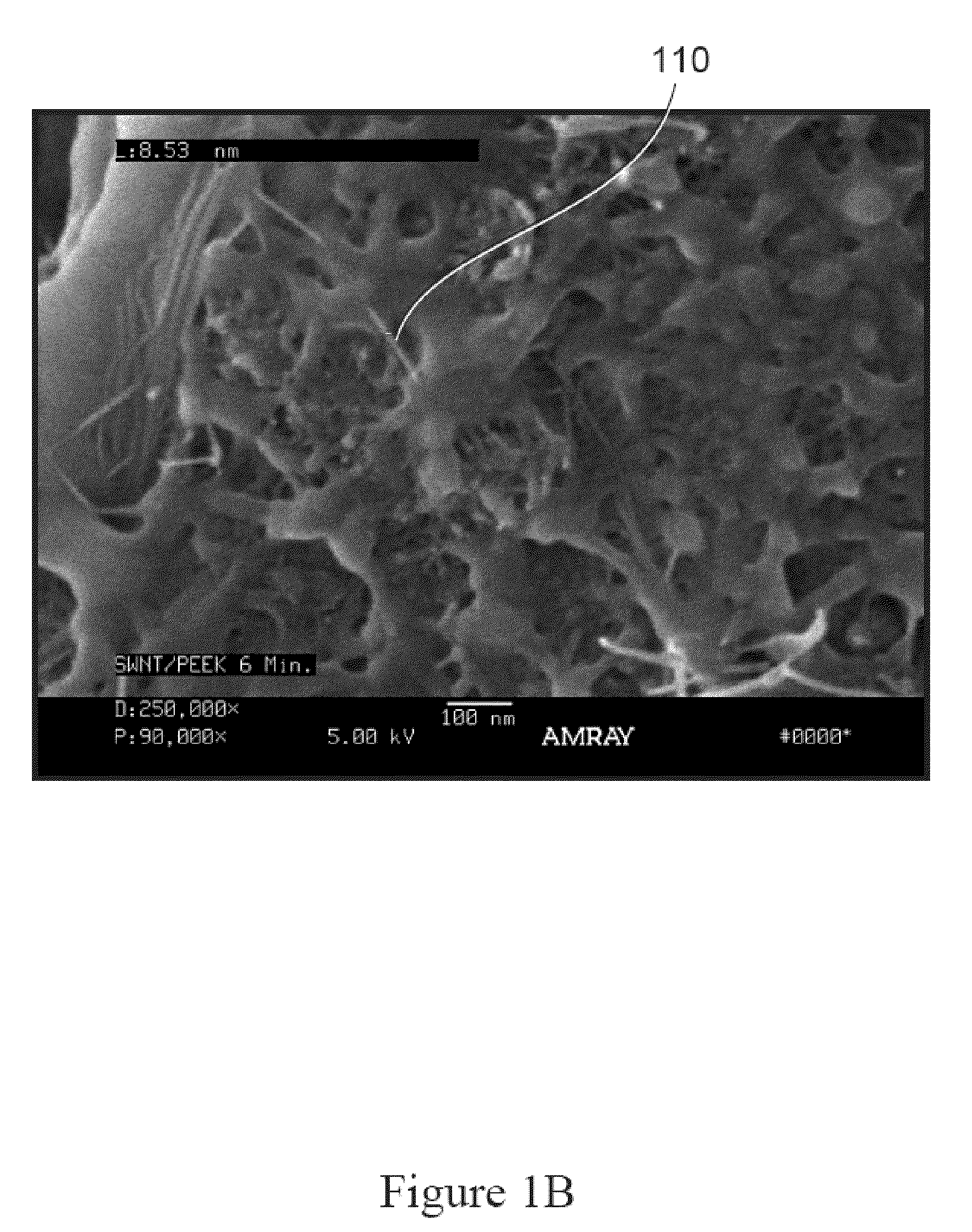 Nanotube Polymer Composite Composition and Methods of Making