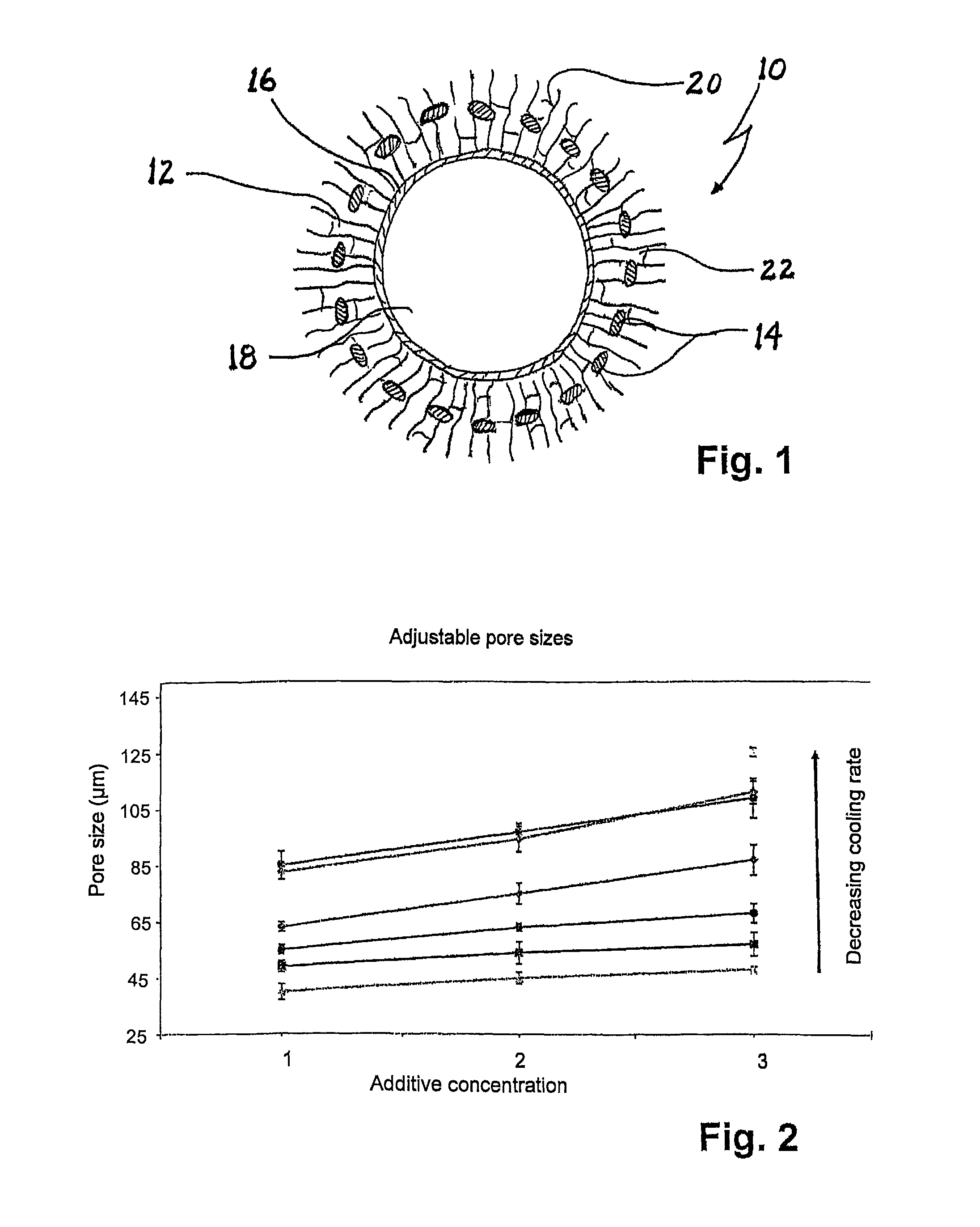 Implant and process for its production