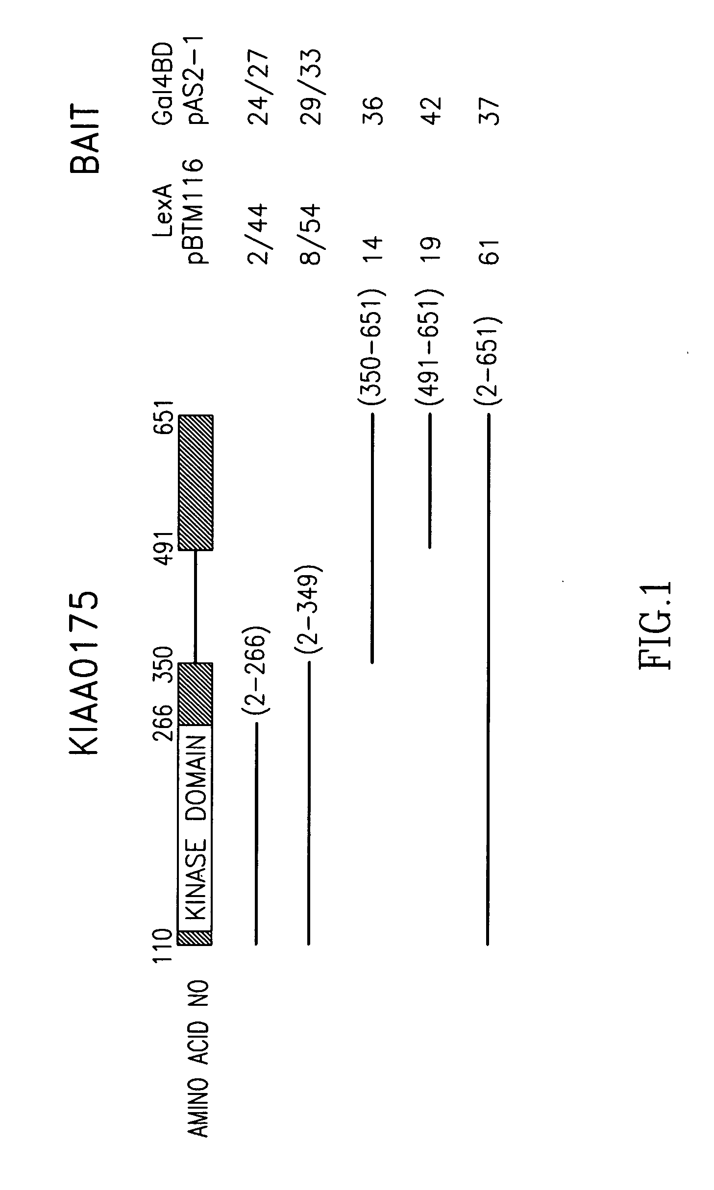 Compositions and methods for treating neoplastic disease using chemotherapy and radiation sensitizers