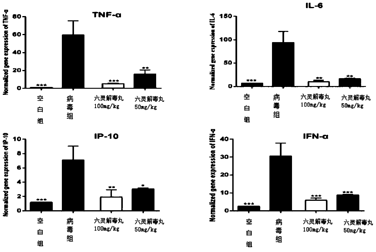 Application of Liuling Jiedu Pill in preparing drugs for preventing and treating cold diseases