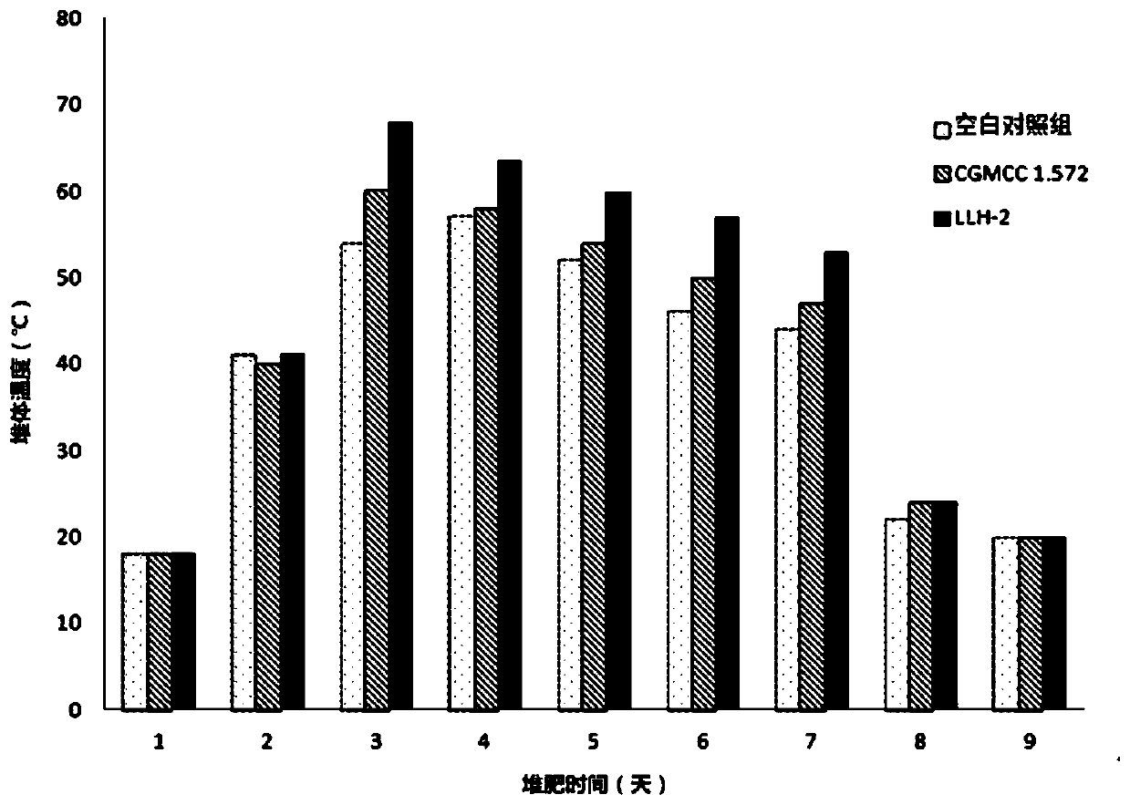 Biological decomposition agent and application thereof in compost