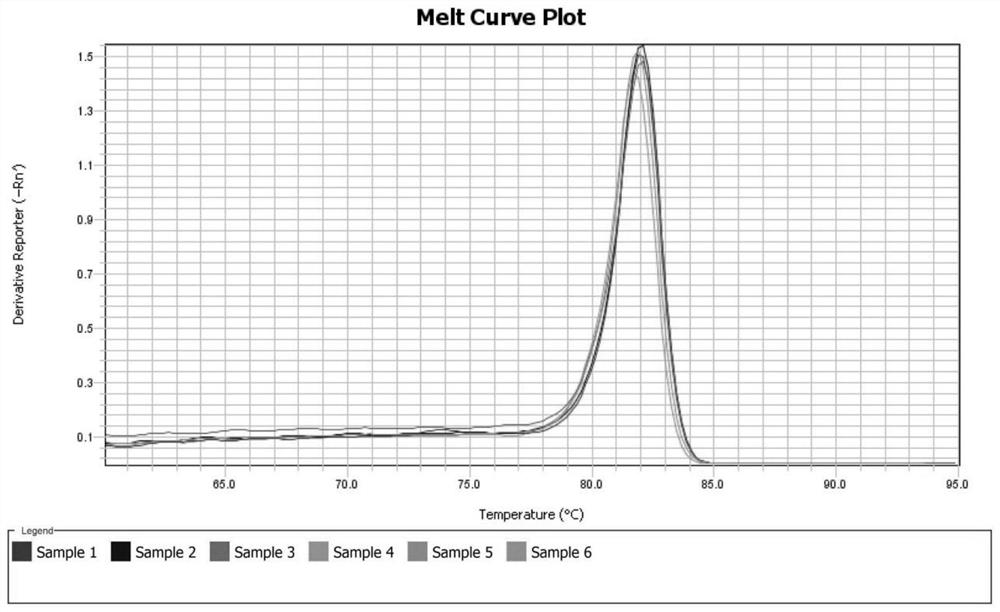 Reference gene for fluorescence quantification of different tissues of Chinese yam and primers and application thereof