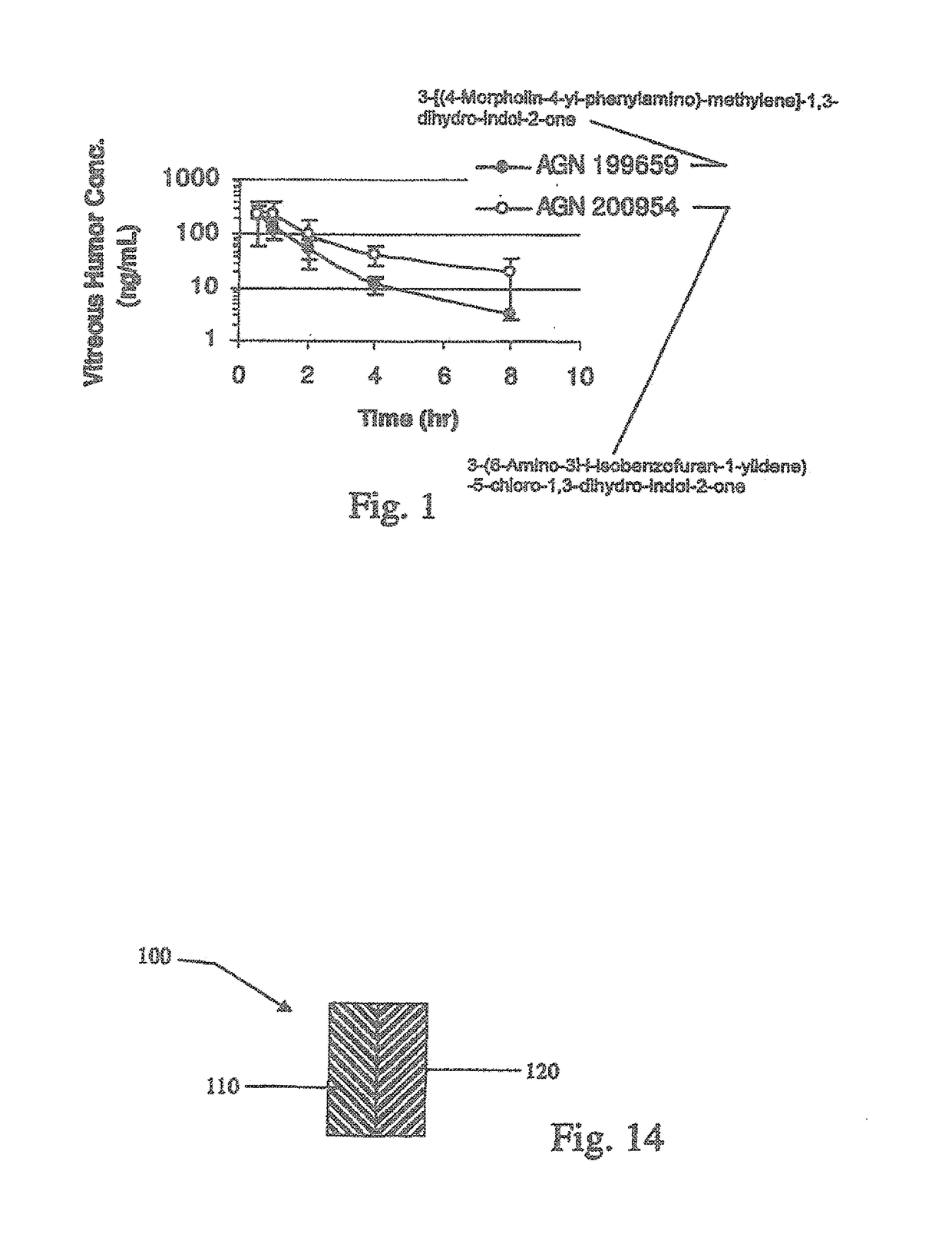 Biodegradable intravitreal tyrosine kinase implants