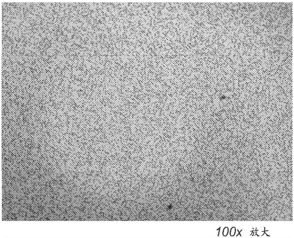 Method for removing bacteria from blood using high flow rate