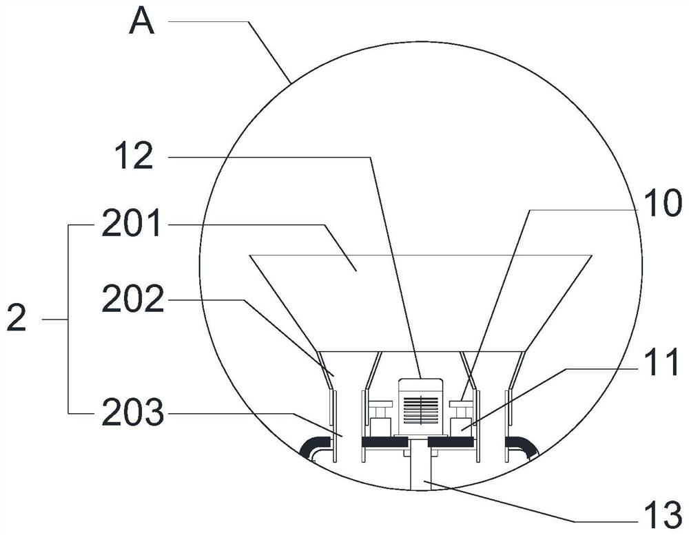 Red date absolute oil purification equipment and process