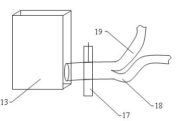 Automatic decoupling detection method for harmful bacteria intruding into tissues of vegetables or fruits and device