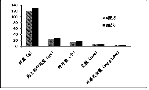 Mizuna Mustard water culture formula