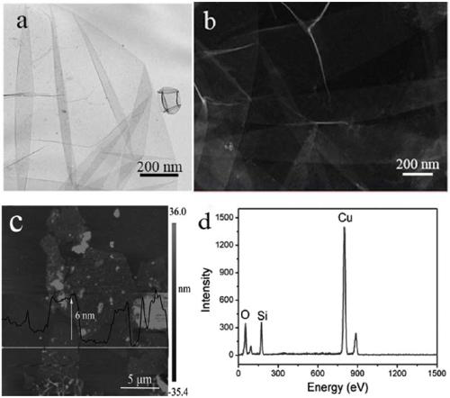 Synthesis method of gold nanosheets and application of gold nanosheets in diagnosis and treatment of breast cancer