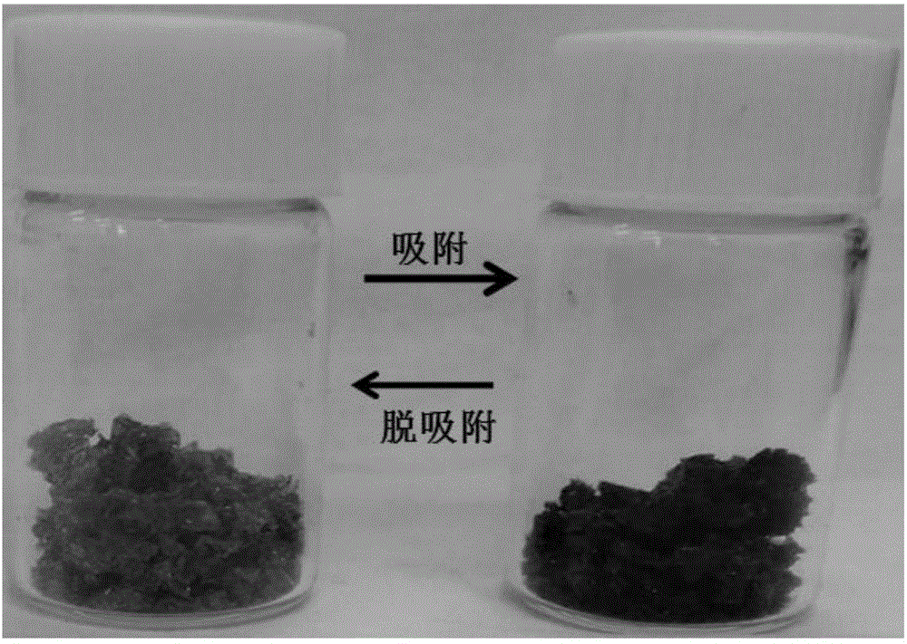 Cross-link polyamino acid type metal adsorbent, method for preparing same and method for adsorbing metal