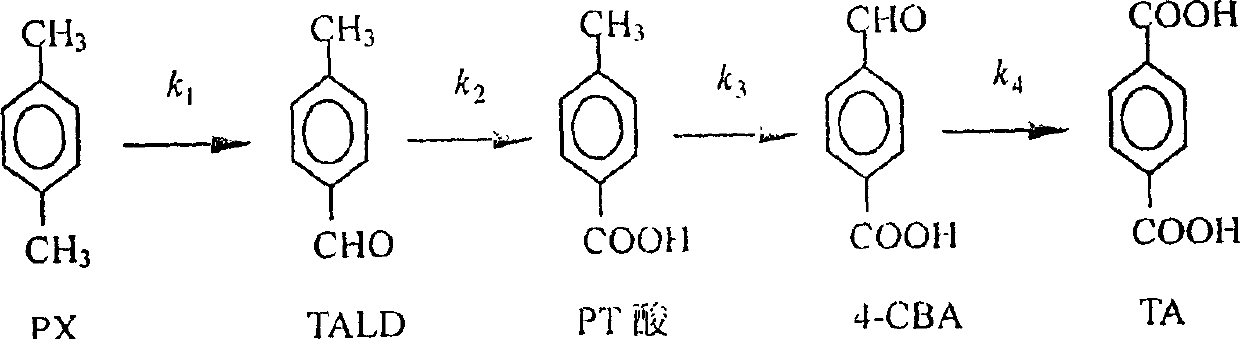 Establishing method of dynamic model of liquid phase catalytic paraxylene oxidizing reaction
