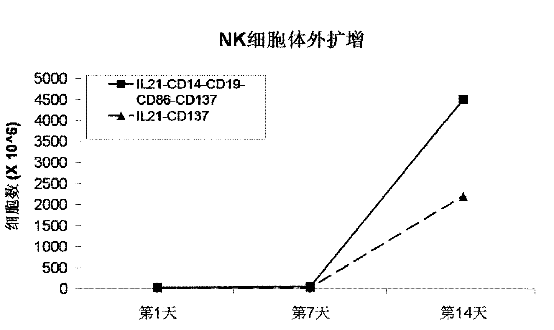 Method for amplification and activation of NK cells by K562 cells