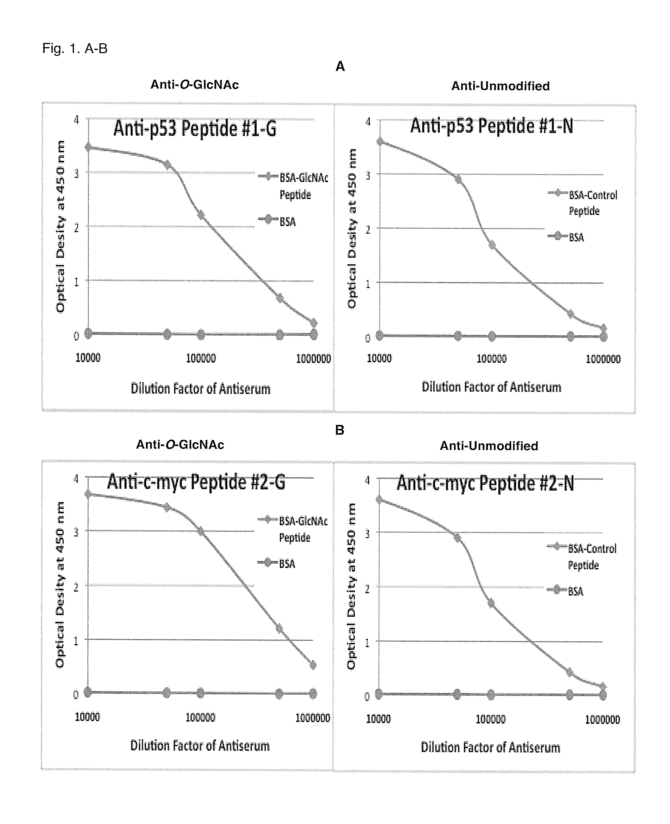 Glycosylation site-specific antibodies and Anti-cancer compounds