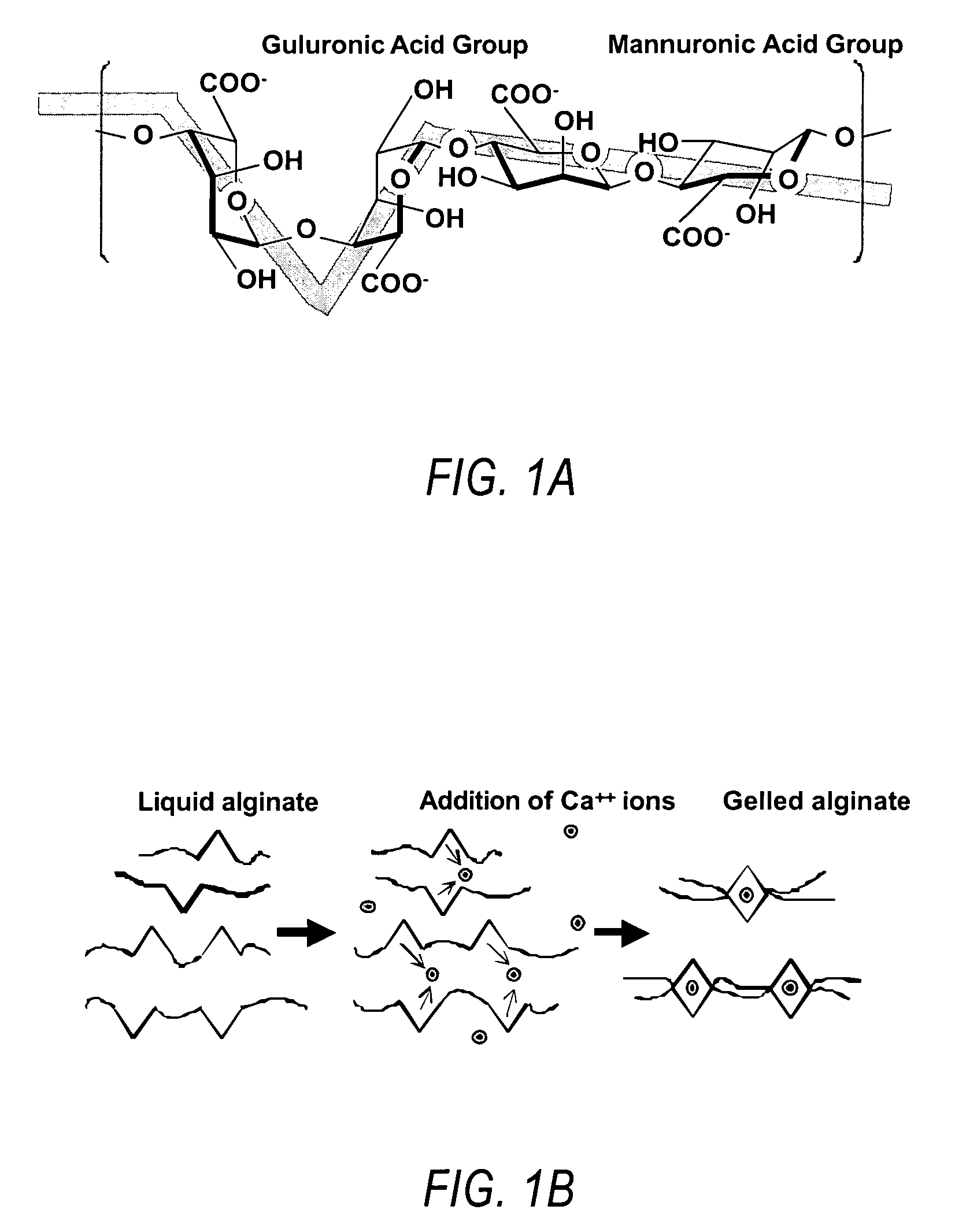Compositions and methods for use of alginate dural sealants