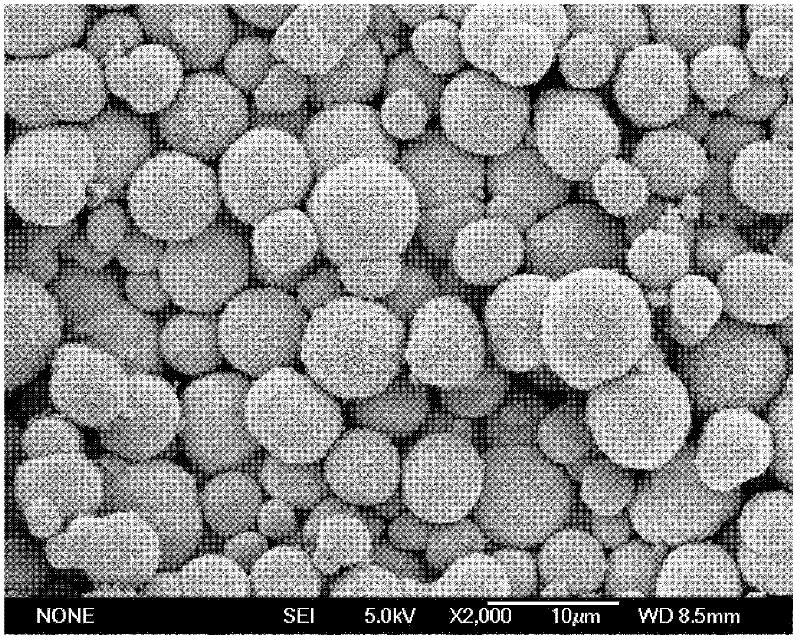 Sea urchin shaped copper oxide catalyst, as well as preparation method and application thereof