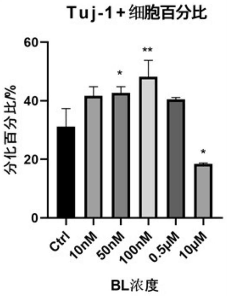 Application of baicalein compound to preparation of medicine for promoting differentiation of neural stem cells