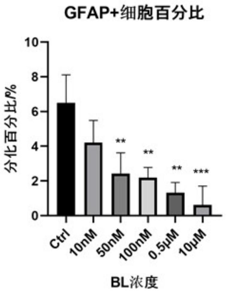 Application of baicalein compound to preparation of medicine for promoting differentiation of neural stem cells