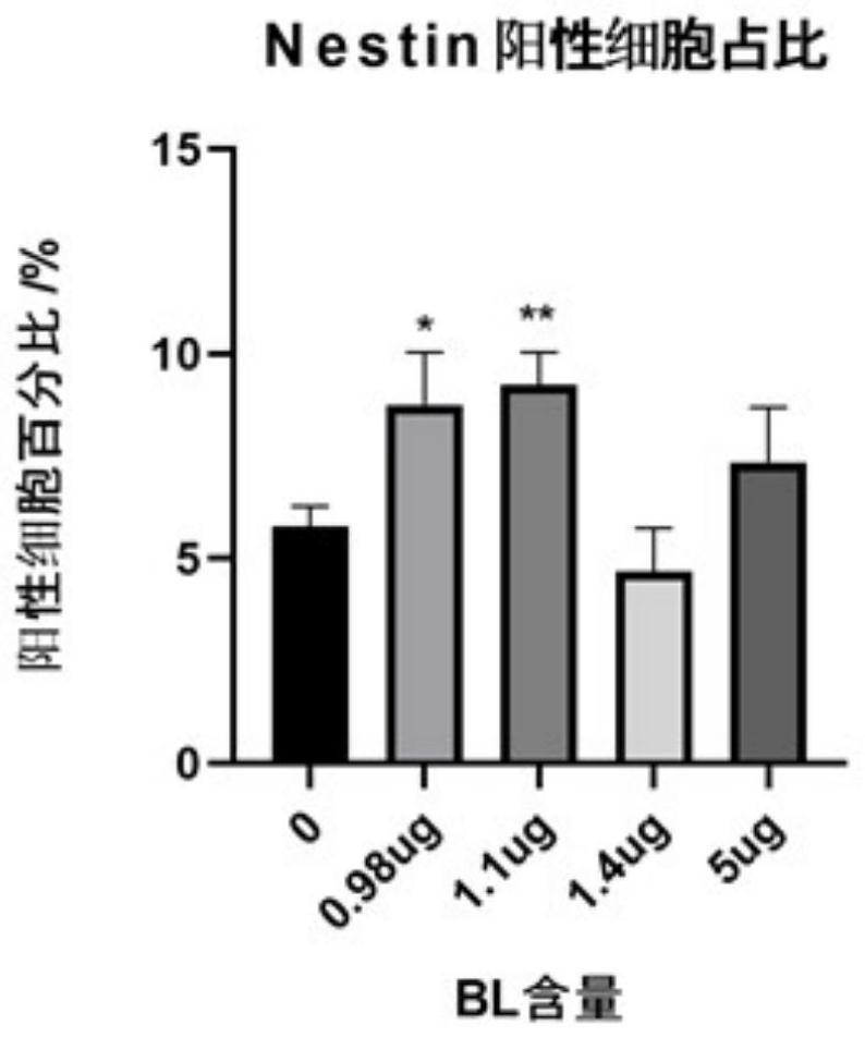 Application of baicalein compound to preparation of medicine for promoting differentiation of neural stem cells