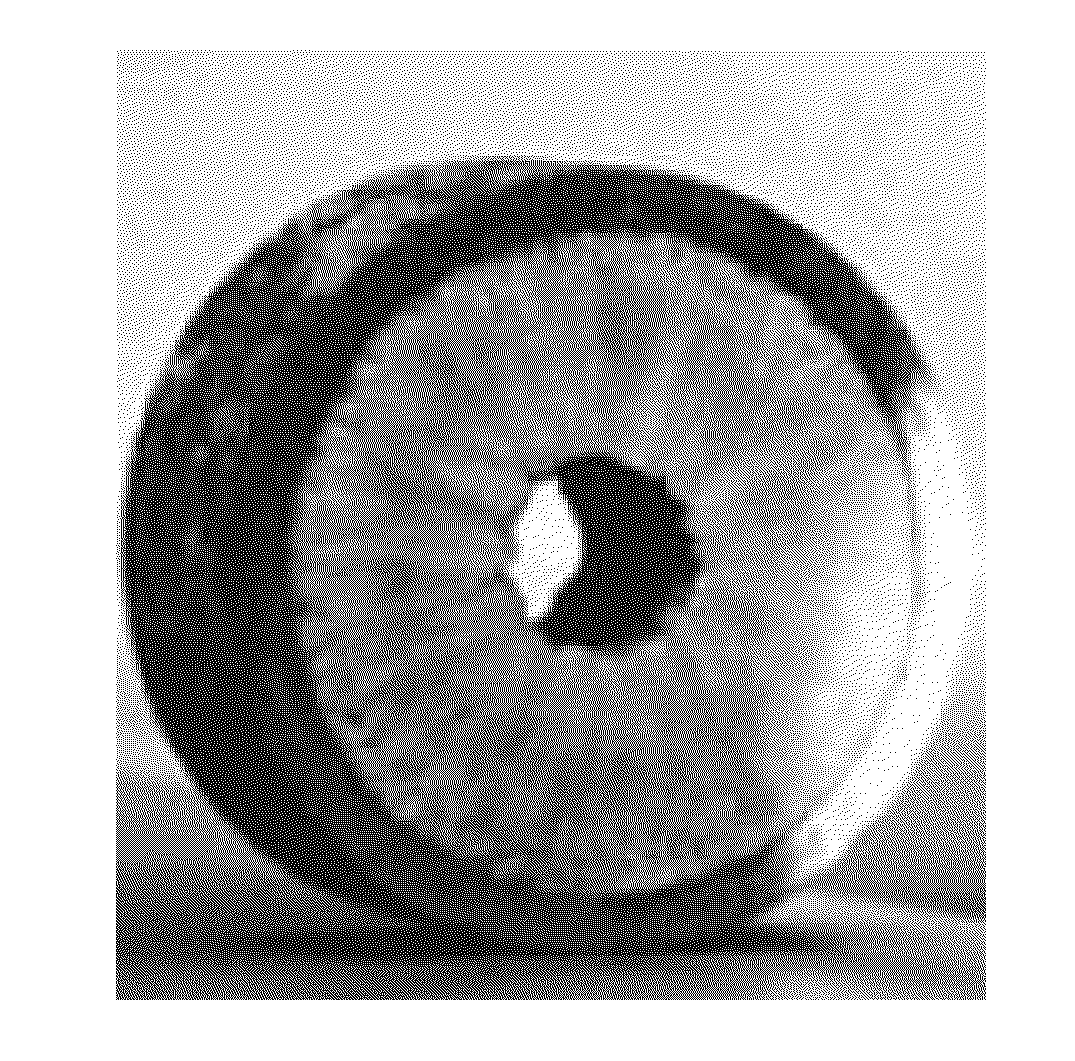 Methods for providing prophylactic surface treatment for fluid processing systems and components thereof