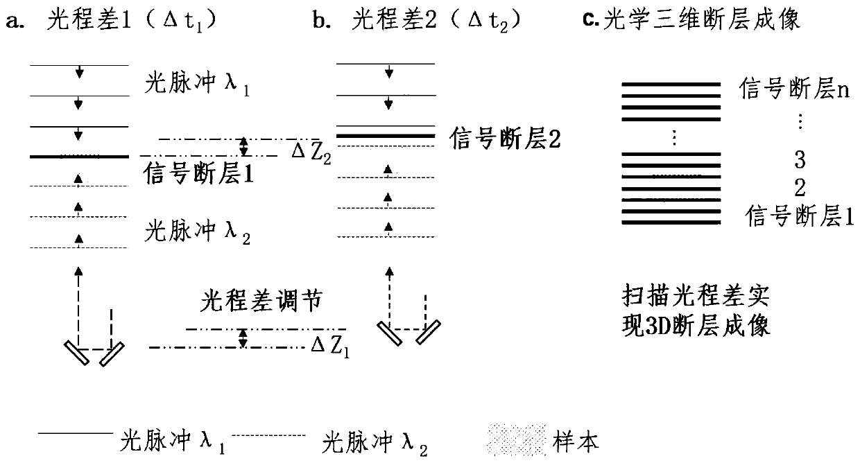 Method and system of achieving large-volume and high-resolution time pulse light film tomography imaging