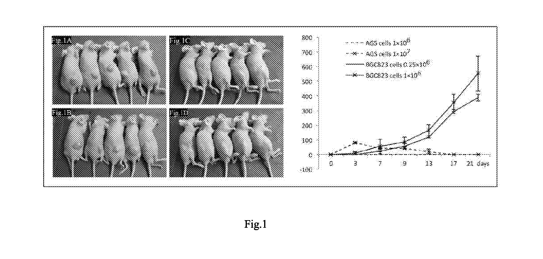 Methods and Compositions for the Diagnosis and Treatment of Cancer