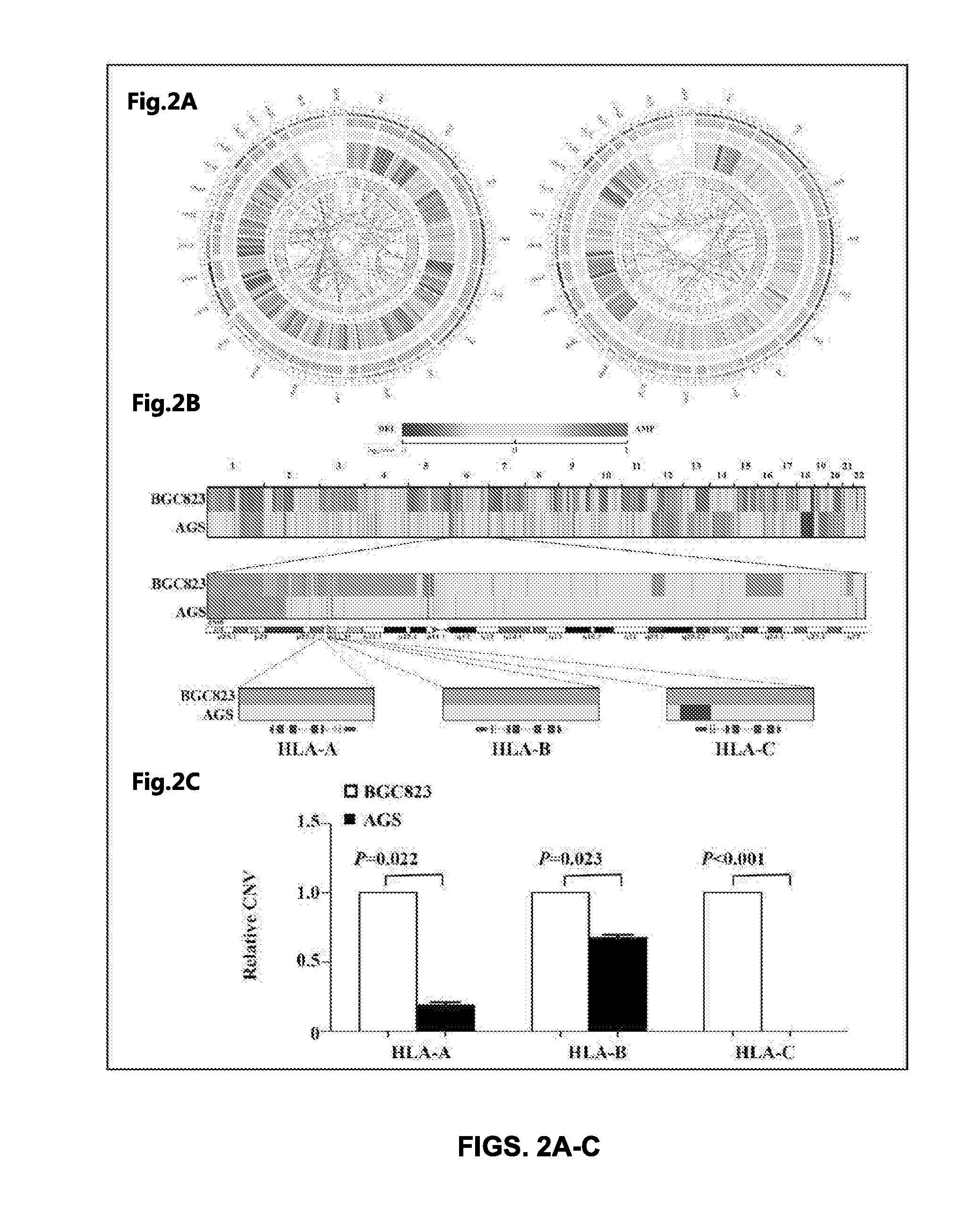 Methods and Compositions for the Diagnosis and Treatment of Cancer