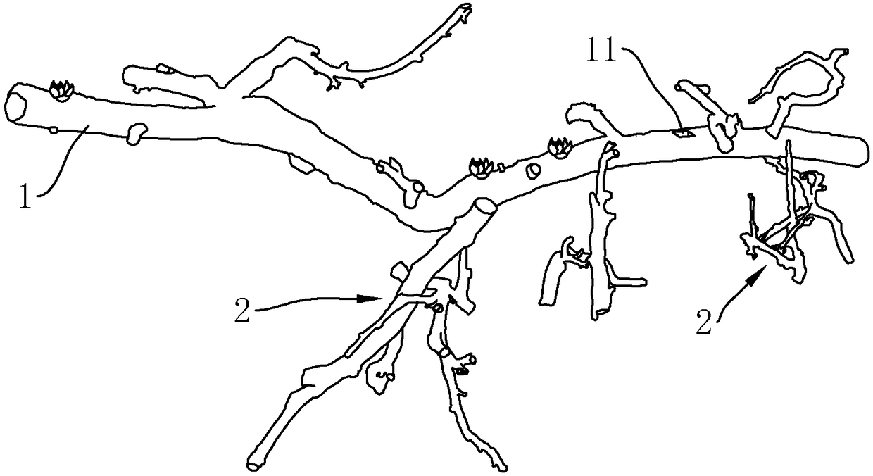 Branch flowerpot and manufacturing technology thereof