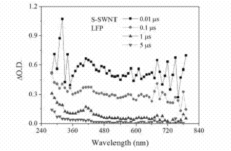 Method for detecting photochemical activity of carbon nano tube by utilizing transient absorption spectrum technology