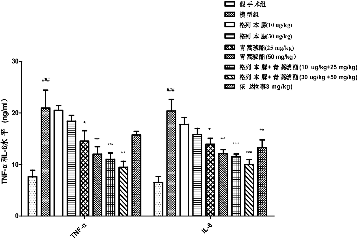 Combination product for prevention and/or treatment of cerebral ischemia and application thereof
