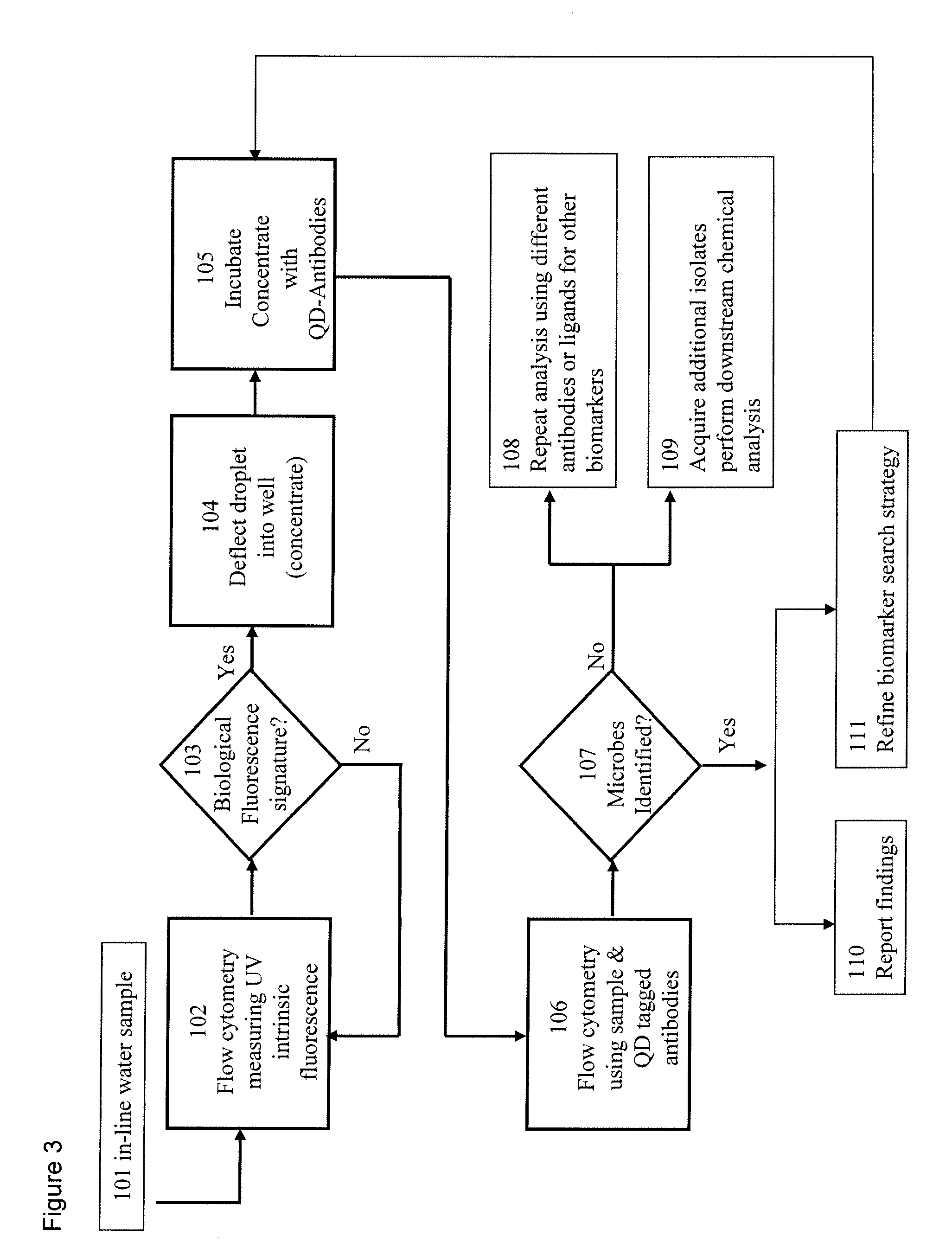 System and method for monitoring an analyte