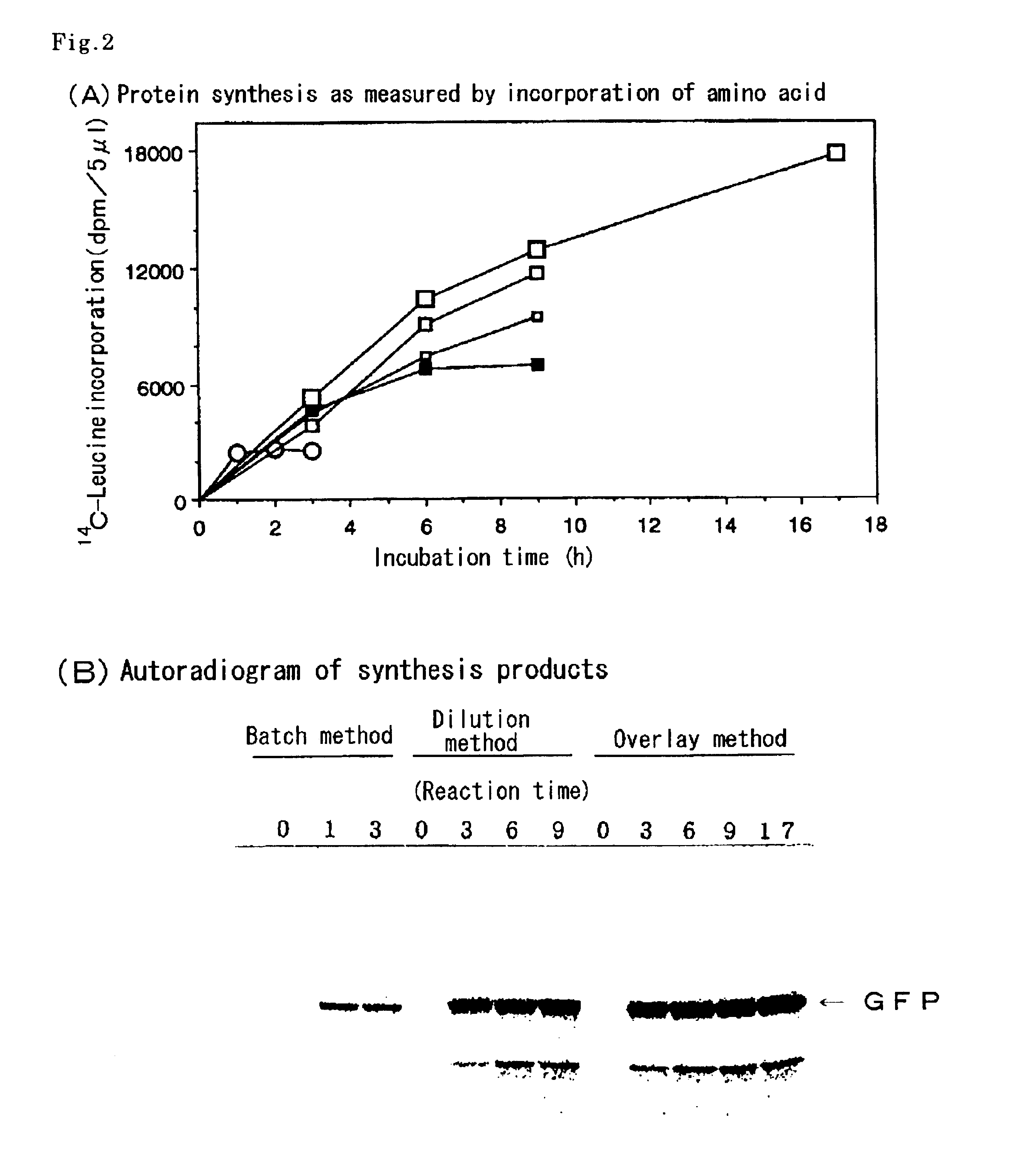 Methods of synthesizing cell-free protein