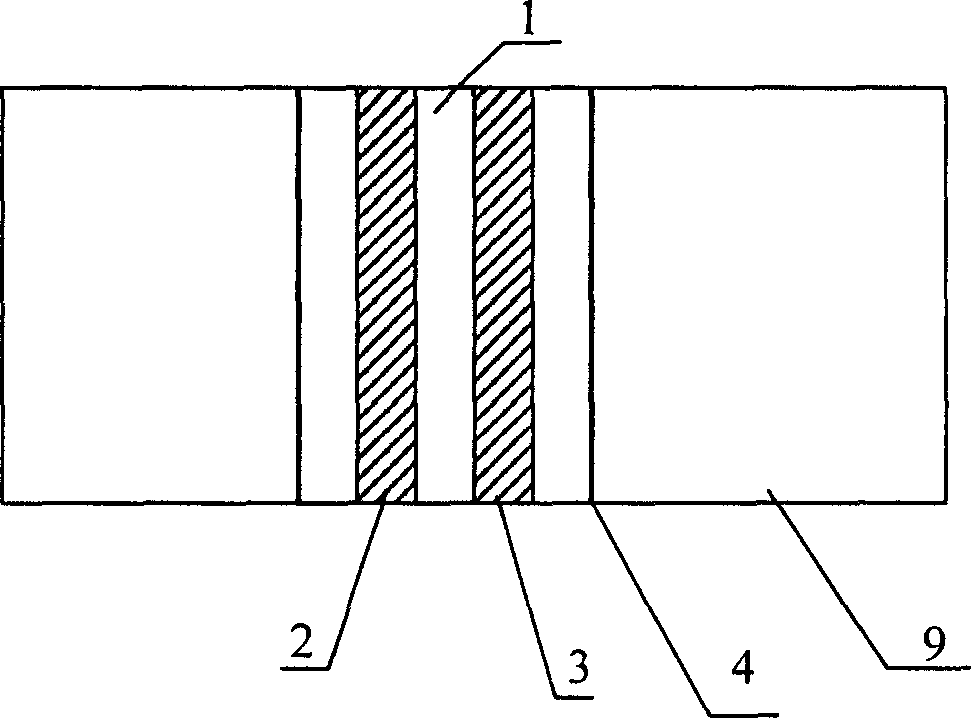 Panel display with anti secondary electron emission supporting wall structure and its making process