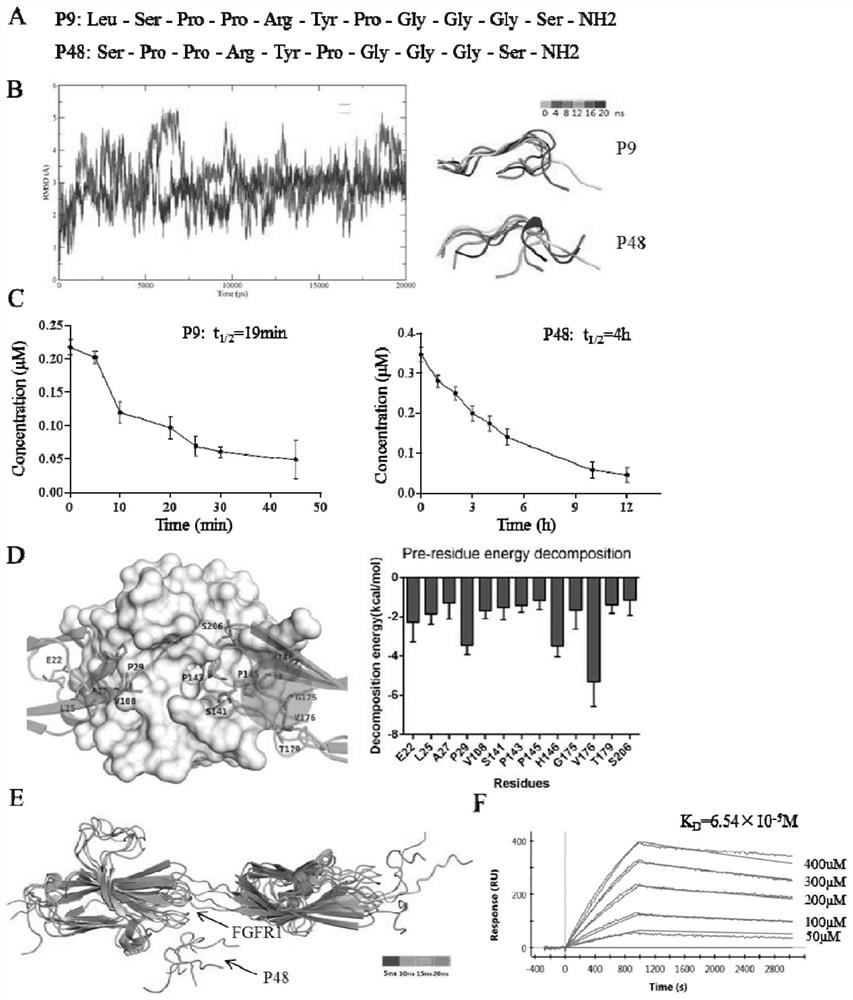 An antagonistic short peptide targeting FGFR1