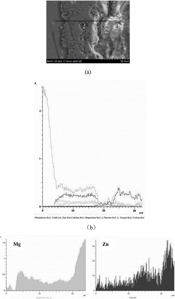 Calcium-phosphorus-silicon biological ceramic coating and preparation method and application thereof