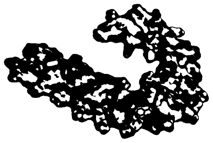 Application of tanshinone IIA in inhibiting abnormal accumulation of Tau protein