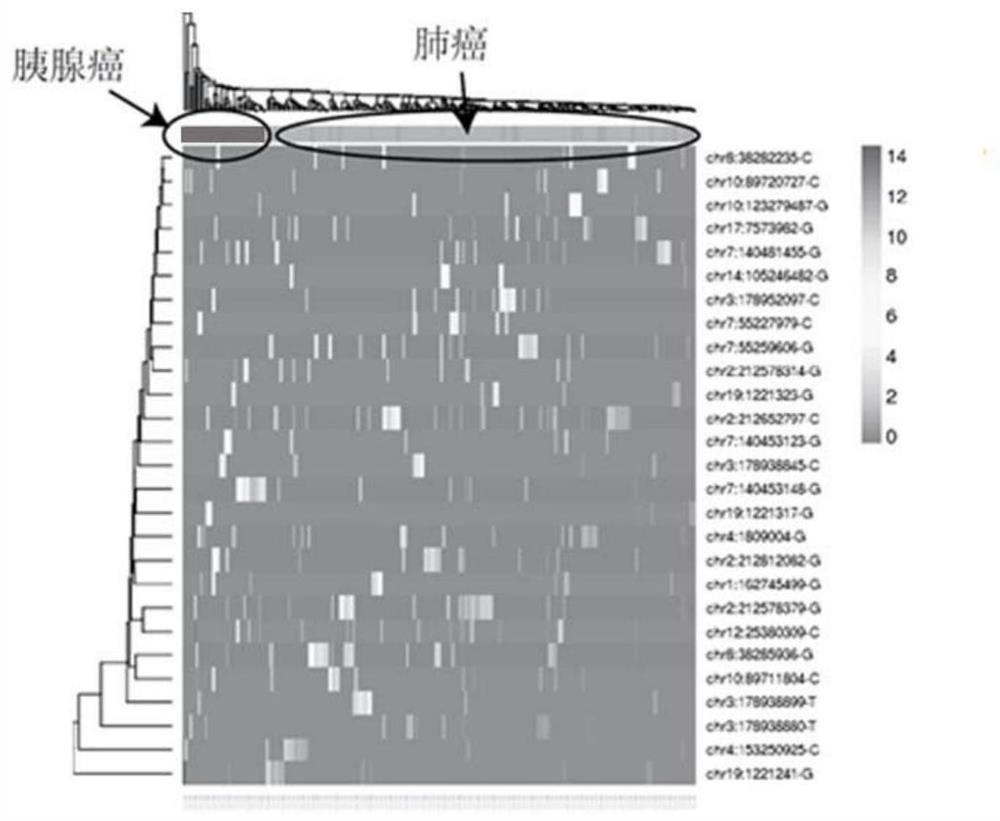 Method and device for extracting biomarkers based on deep sequencing data of cell-free DNA