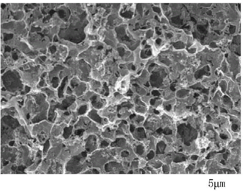 Graphene/titanium dioxide composite porous material, preparation method and application thereof