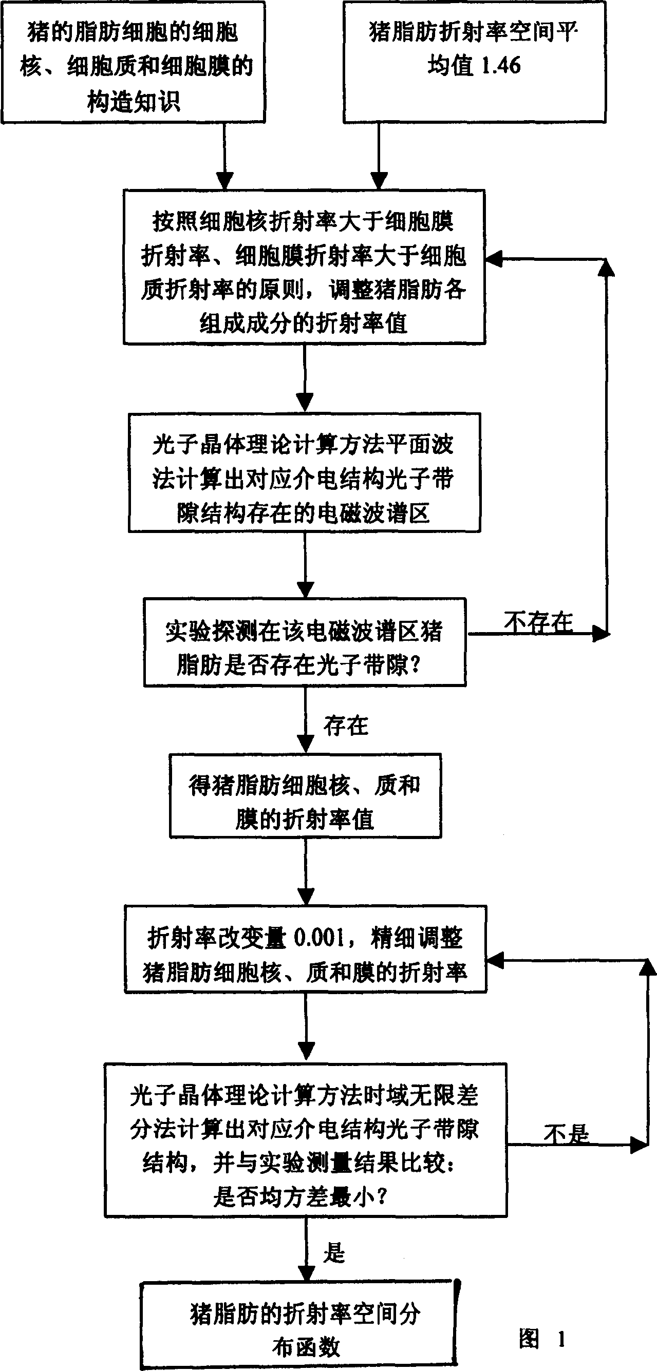 Biological tissue refractivity space distribution function detecting method