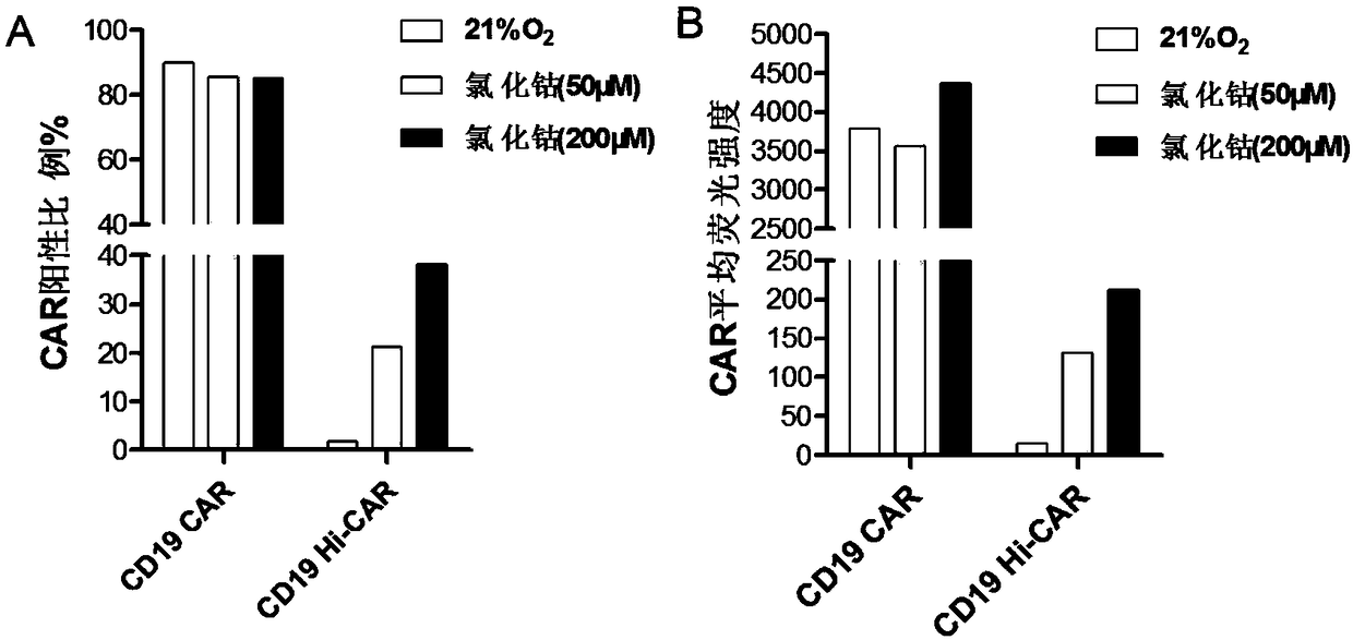 Hypoxia-inducible chimeric antigen receptor capable of achieving specific activation of tumor microenvironment