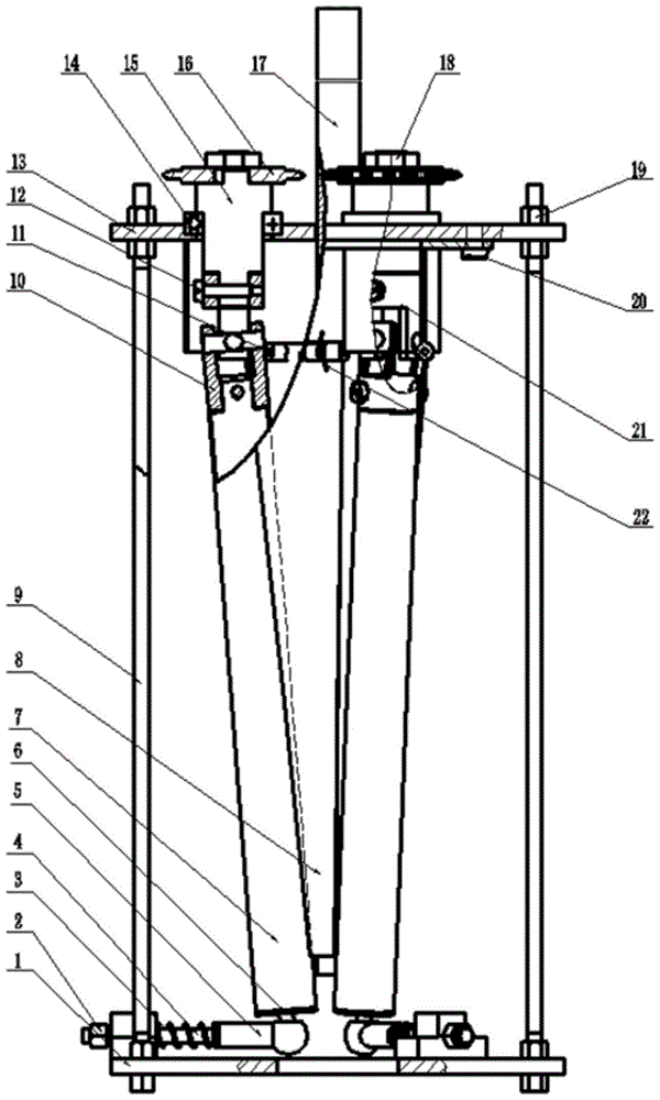 A device for aligning jujubes