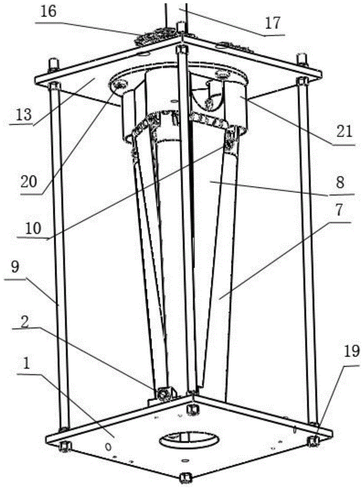 A device for aligning jujubes