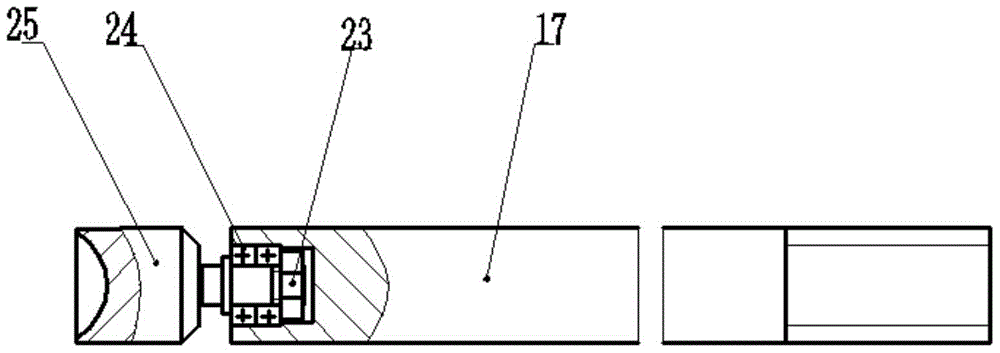 A device for aligning jujubes