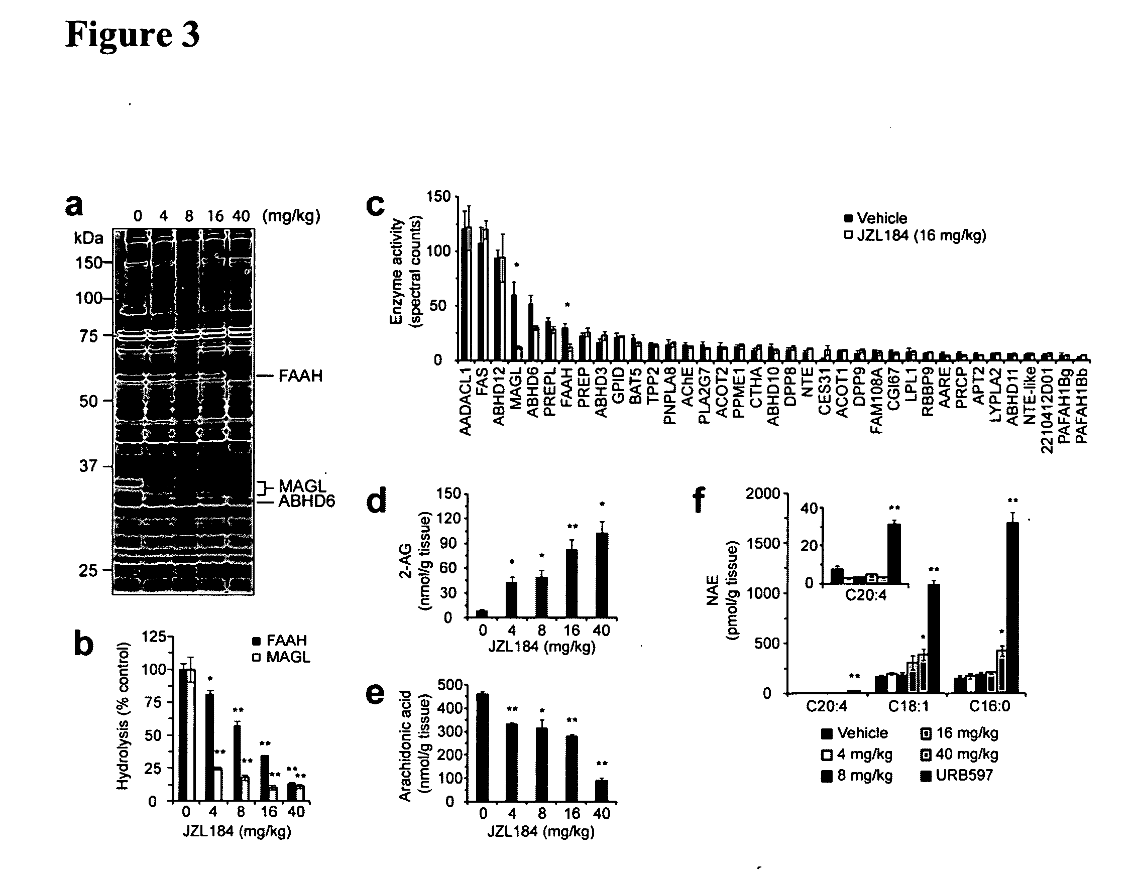 Methods and compositions related to targeting monoacylglycerol lipase