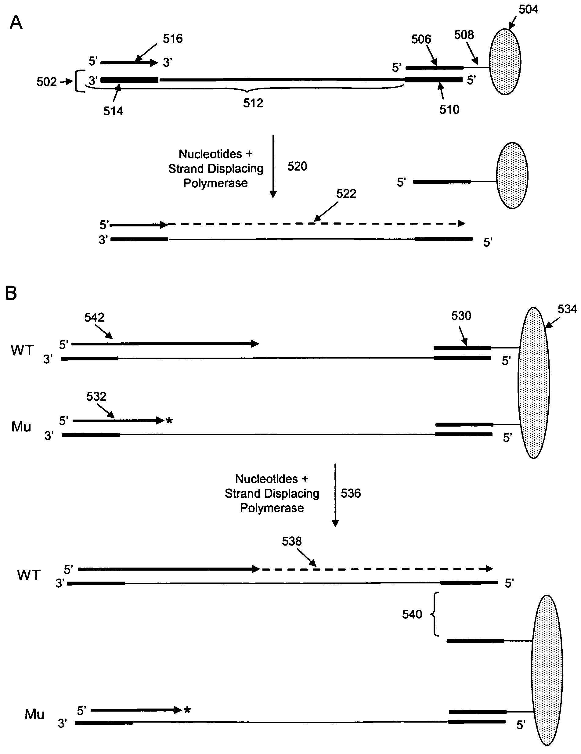 Methods and compositions for isolating nucleic acid sequence variants