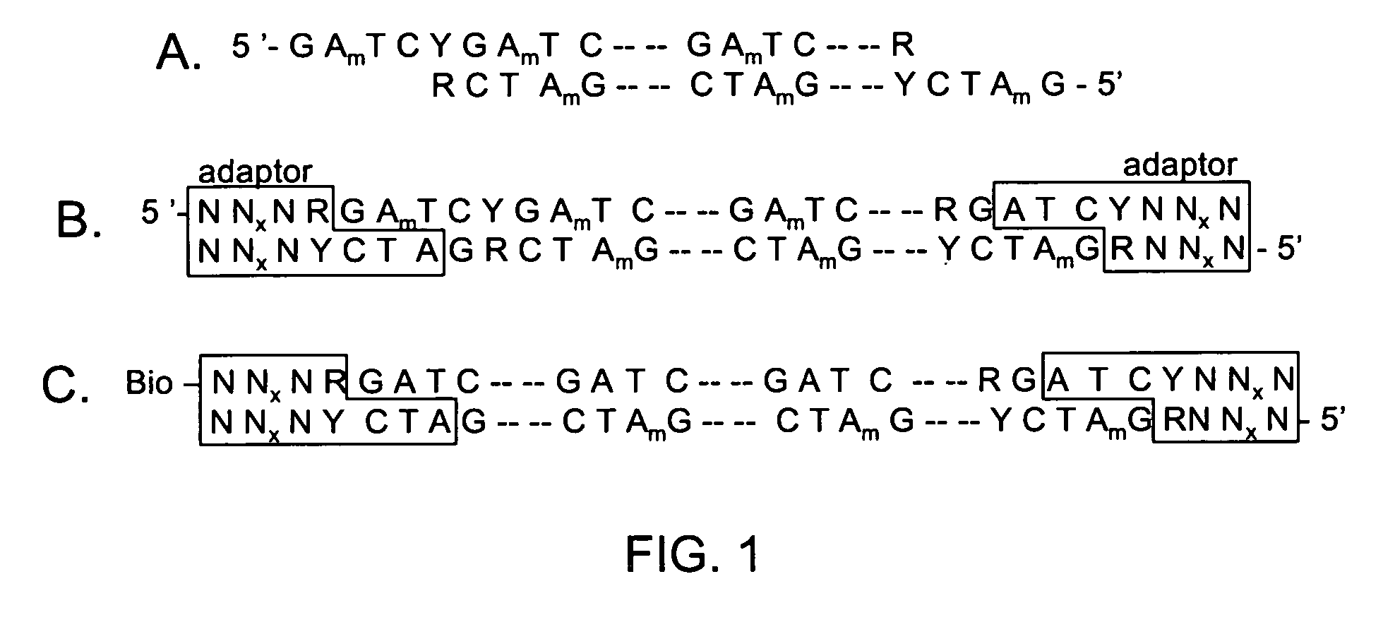 Methods and compositions for isolating nucleic acid sequence variants