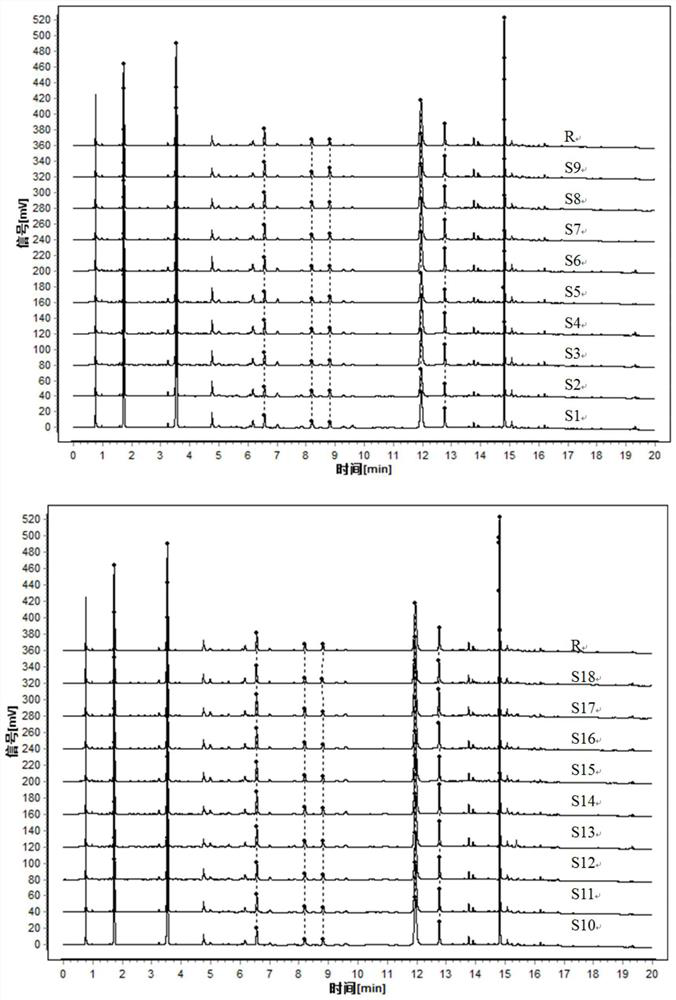 Method for constructing specific chromatograms of horsetail and horsetail preparation