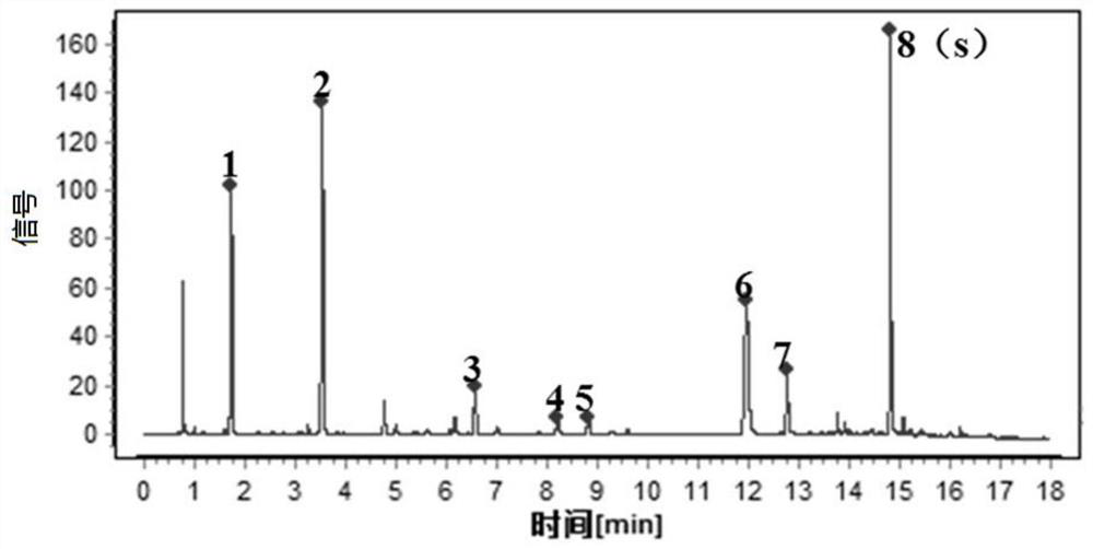 Method for constructing specific chromatograms of horsetail and horsetail preparation