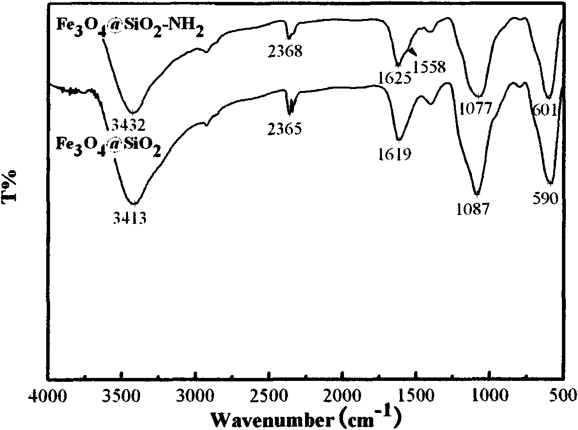 Magnetic iron oxide-dendritic polyamide core-shell nano complex and preparation thereof