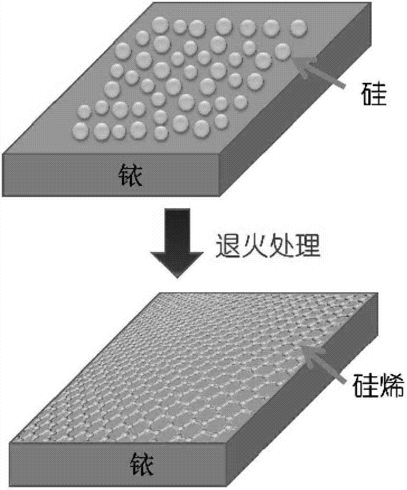 Preparation method of silylene material