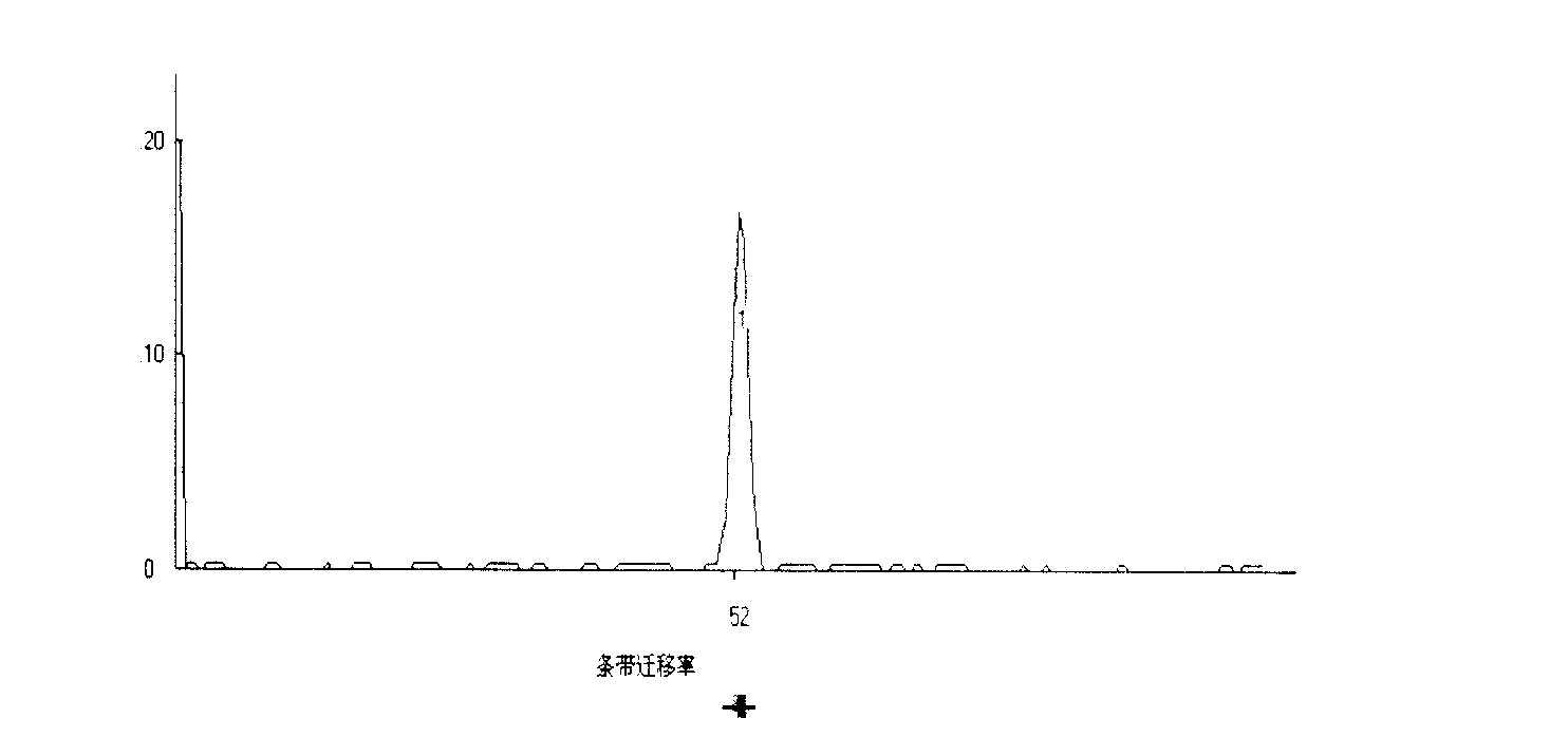 Method for rapid diagnosis of down syndrome