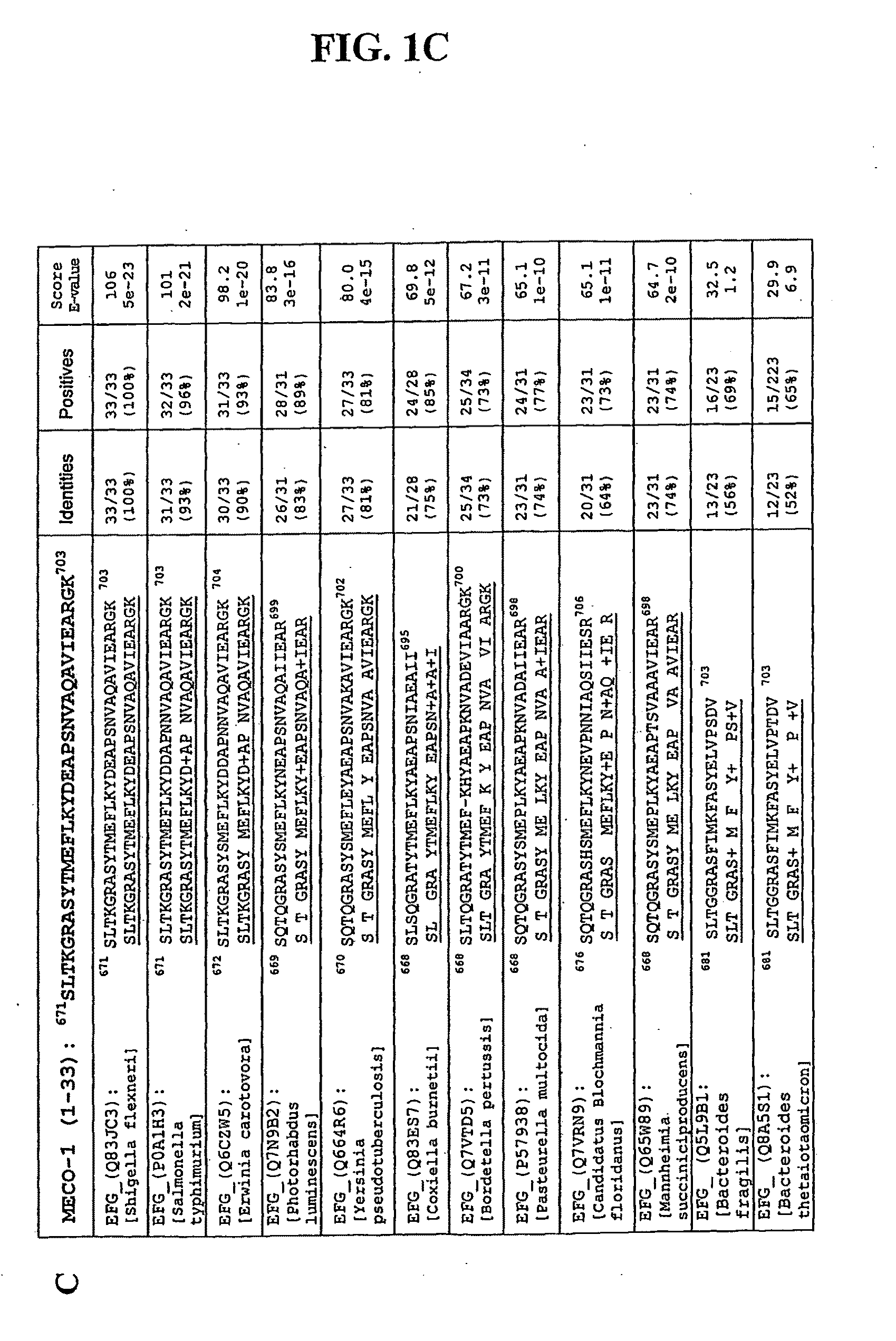 Peptide mimics of melanocyte stimulating hormone